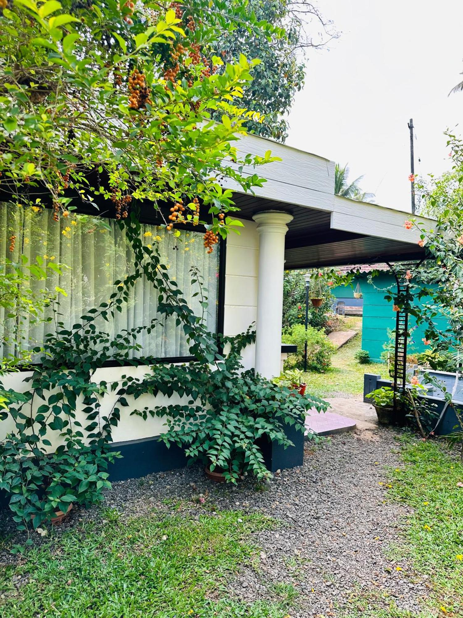 Thoppil Homestay Munnar Exteriér fotografie