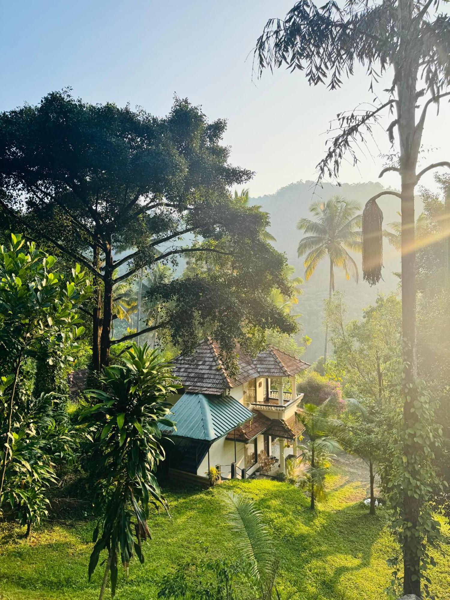 Thoppil Homestay Munnar Exteriér fotografie