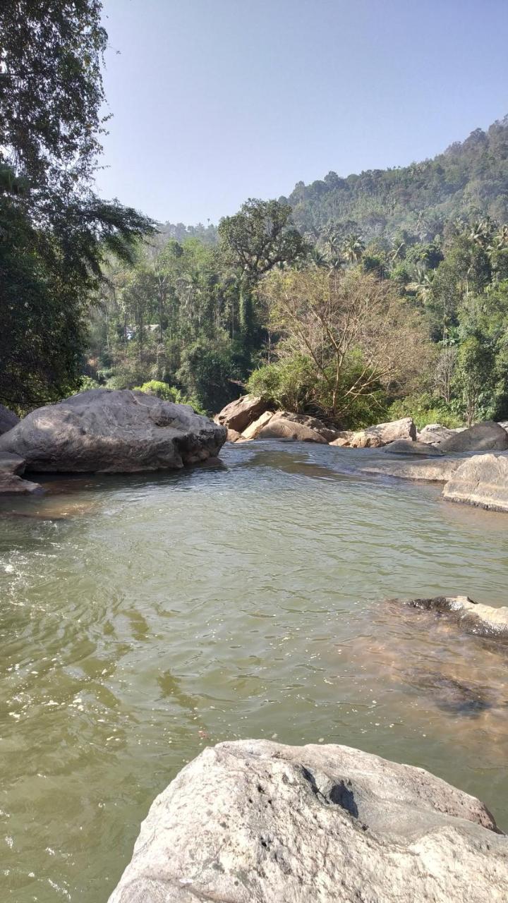 Thoppil Homestay Munnar Exteriér fotografie