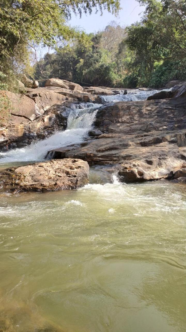 Thoppil Homestay Munnar Exteriér fotografie